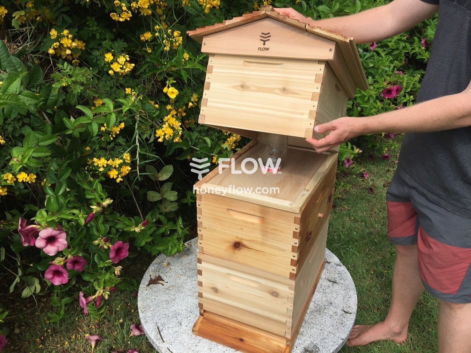 honey bee feeder plans