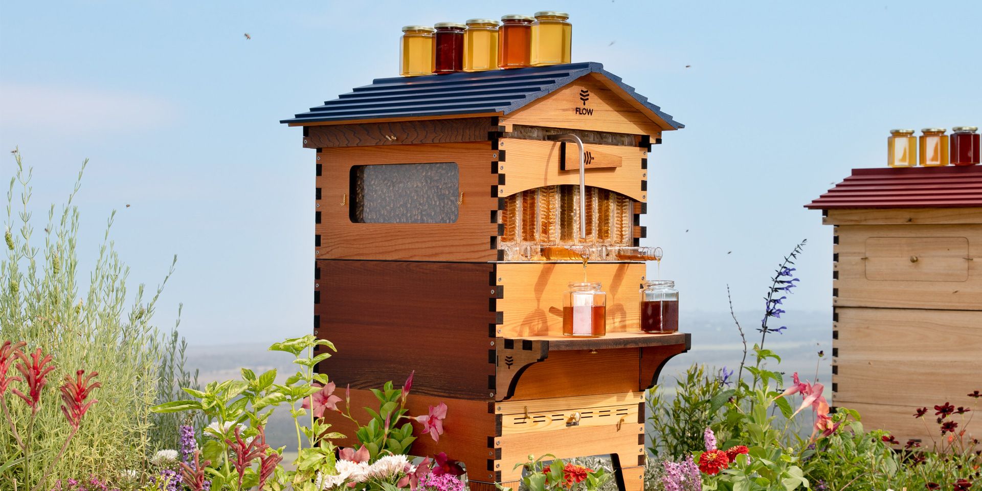 How much does a Flow beehive cost?