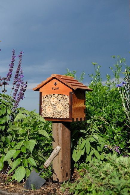 Construction, position & maintenance of the pollinator house