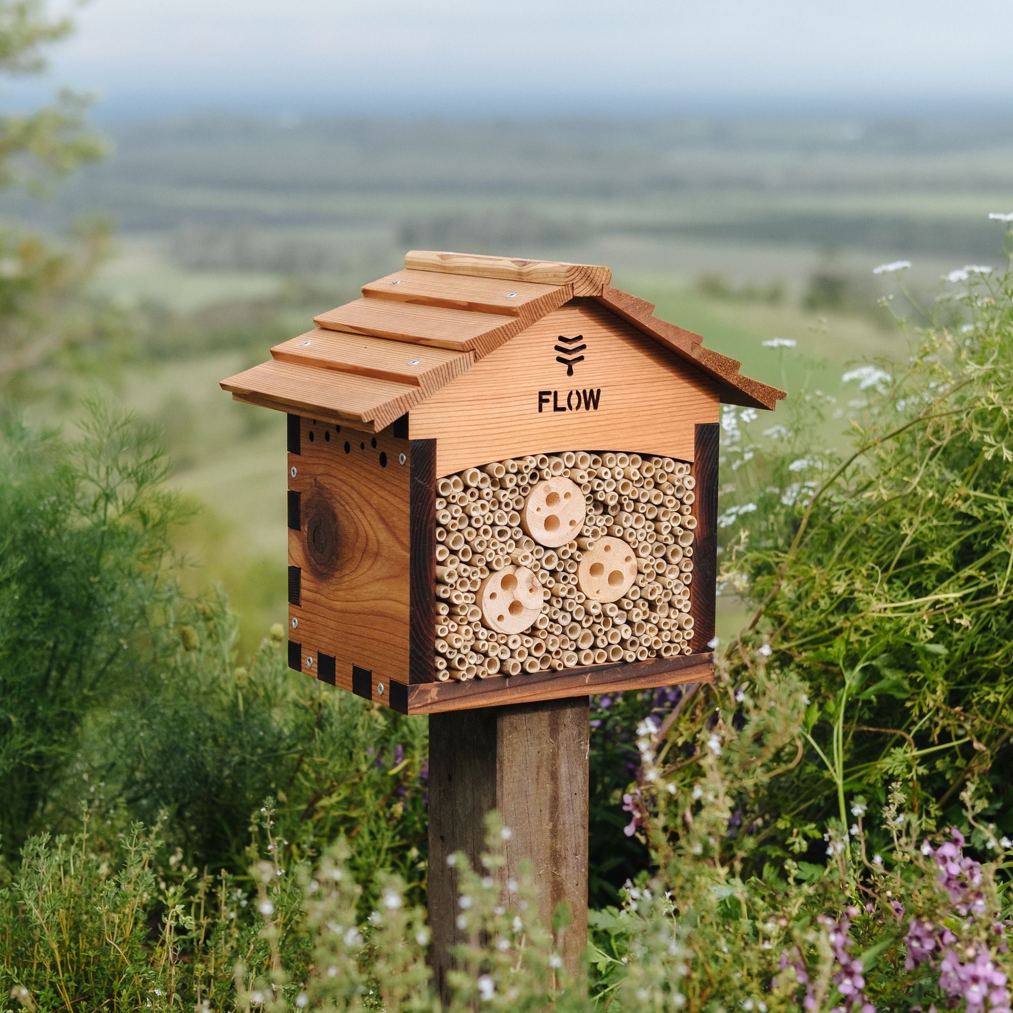 Construction, position & maintenance of the pollinator house