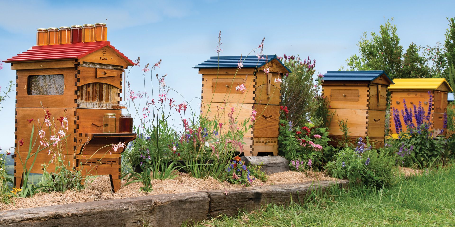 Beekeeping kit 