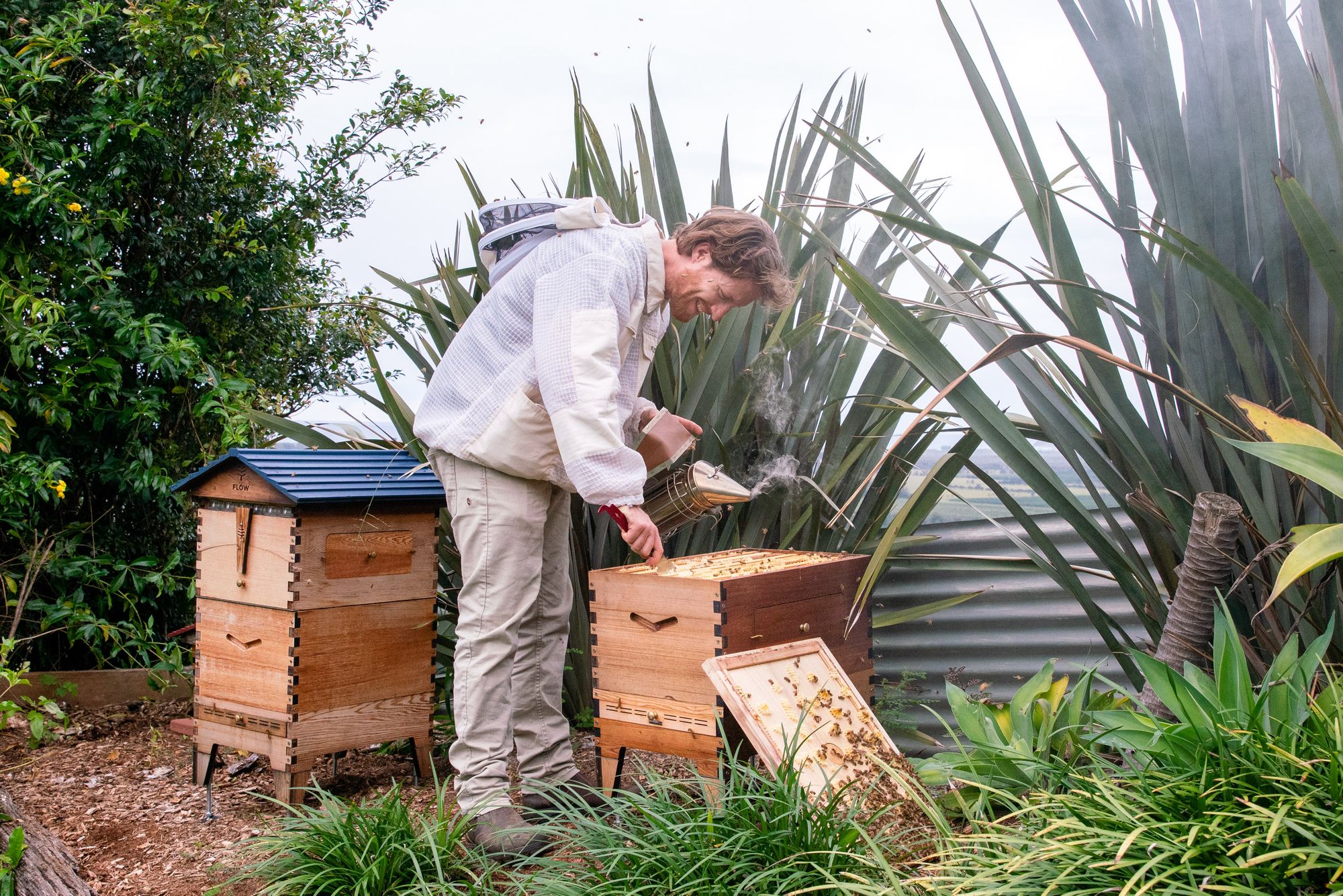 Do I need to rotate my brood frames?