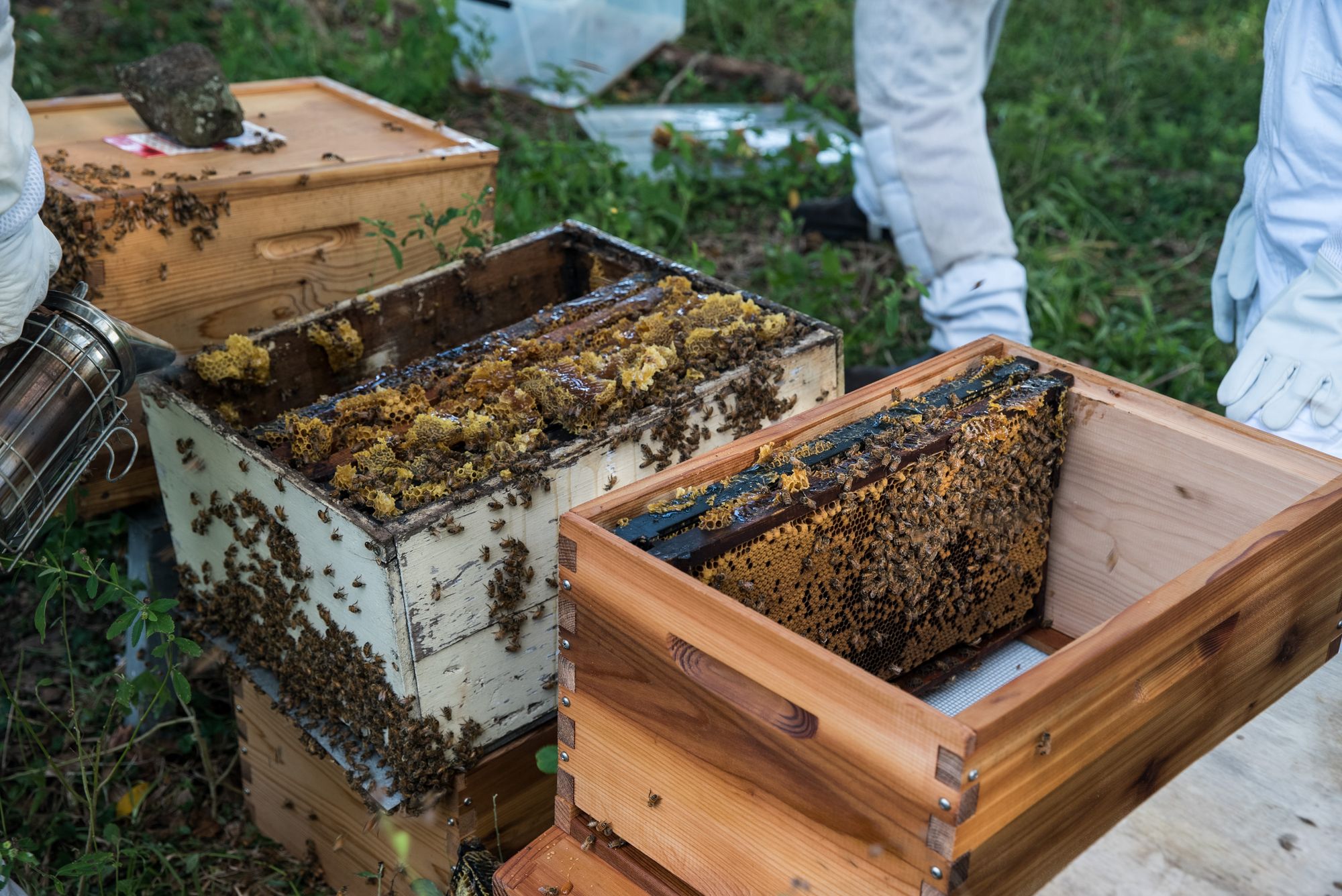 Do I need to rotate my brood frames?