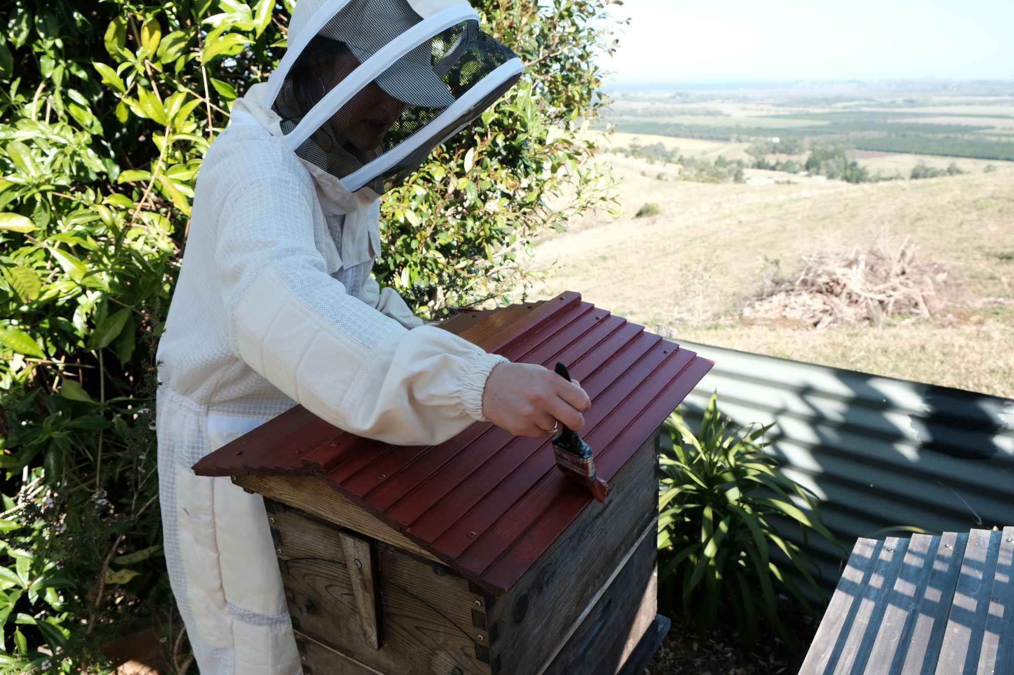 How do I repaint my Flow Hive?