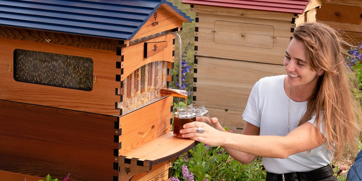 Is there a best time of day to harvest honey using Flow?