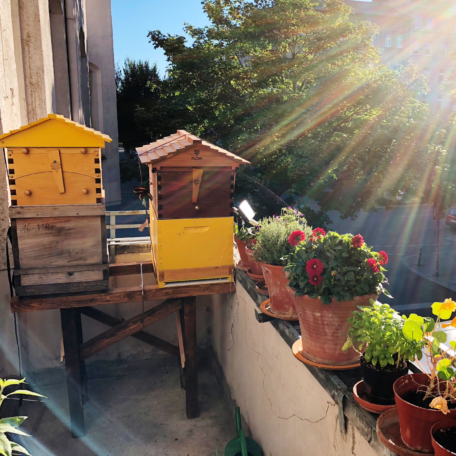 How much space do I need for a Flow Hive?