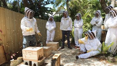 Can I purchase a gift subscription?