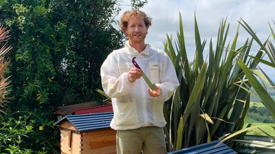 How does billing work?