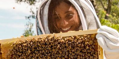 Can I get a certificate from the course?