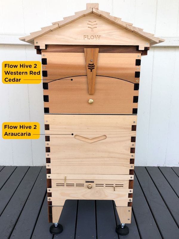 Adding brood boxes or supers of different woodtypes